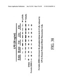 INTERLEUKIN-1 AND TUMOR NECROSIS FACTOR-ALPHA MODULATORS; SYNTHESES OF     SUCH MODULATORS AND METHODS OF USING SUCH MODULATORS diagram and image