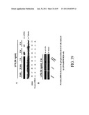 INTERLEUKIN-1 AND TUMOR NECROSIS FACTOR-ALPHA MODULATORS; SYNTHESES OF     SUCH MODULATORS AND METHODS OF USING SUCH MODULATORS diagram and image