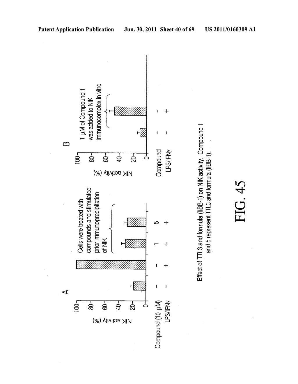 INTERLEUKIN-1 AND TUMOR NECROSIS FACTOR-ALPHA MODULATORS; SYNTHESES OF     SUCH MODULATORS AND METHODS OF USING SUCH MODULATORS - diagram, schematic, and image 41