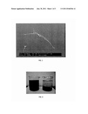 DISPERSION OF CARBON NANOTUBES BY MICROFLUIDIC PROCESS diagram and image