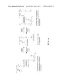 Antibiofouling Nonionic-Zwitterionic Copolymer diagram and image