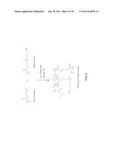 Antibiofouling Nonionic-Zwitterionic Copolymer diagram and image