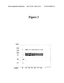 PROCESS OF PURIFYING COAGULATION FACTOR VIII diagram and image