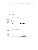 PROCESS OF PURIFYING COAGULATION FACTOR VIII diagram and image