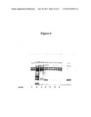 PROCESS OF PURIFYING COAGULATION FACTOR VIII diagram and image