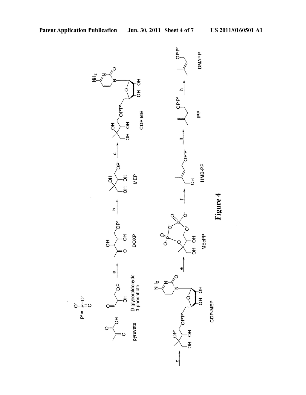 Dimethyloctane as an Advanced Biofuel - diagram, schematic, and image 05