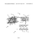 METHOD OF PREPARATION OF ZnS AND CdS NANOPARTICLES FOR DECHLORINATION OF     POLYCHLOROBIPHENYLS IN OILS diagram and image