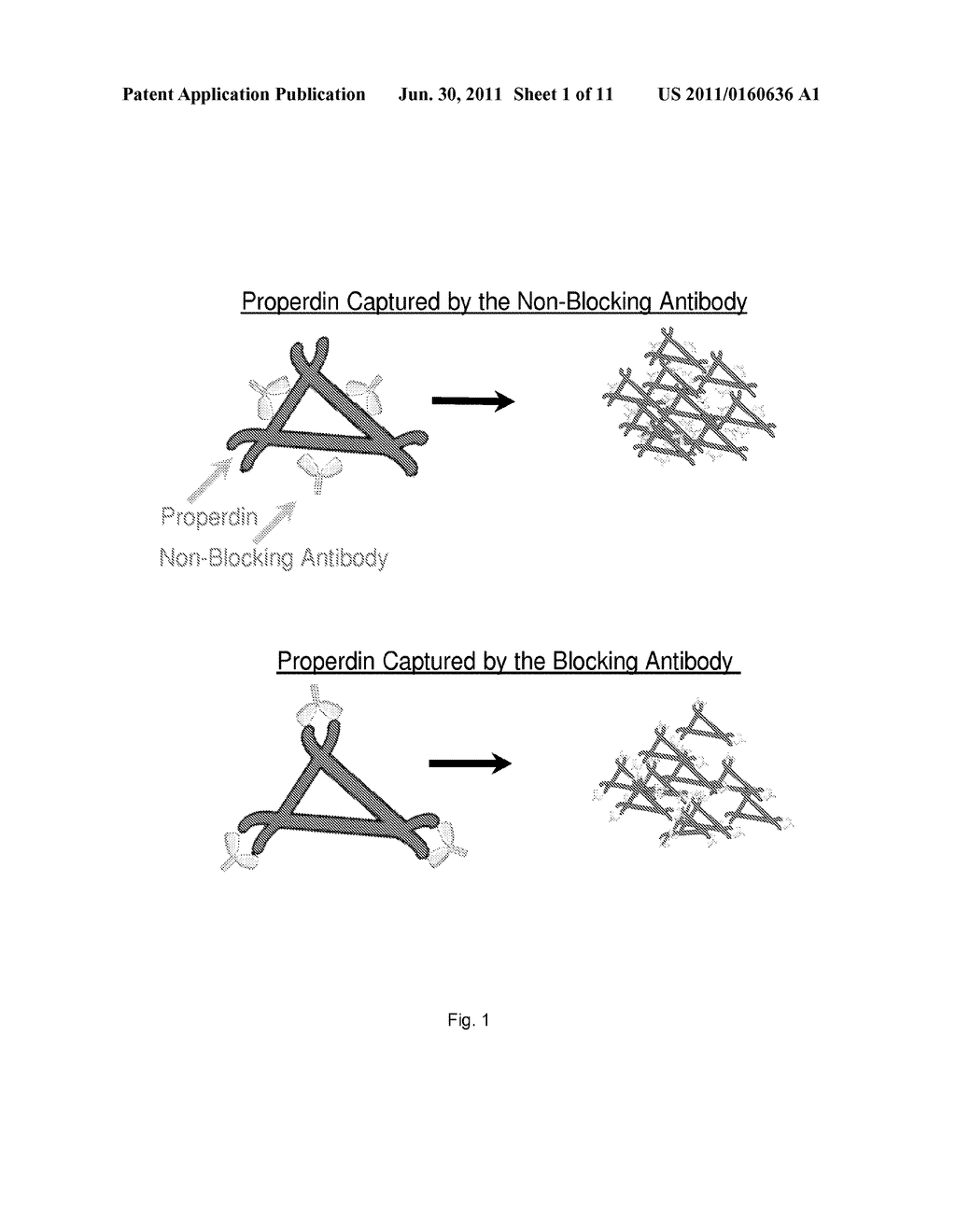 DEVICE AND METHOD FOR INHIBITING COMPLEMENT ACTIVATION - diagram, schematic, and image 02