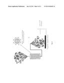 DEVICE AND METHOD FOR INHIBITING COMPLEMENT ACTIVATION diagram and image