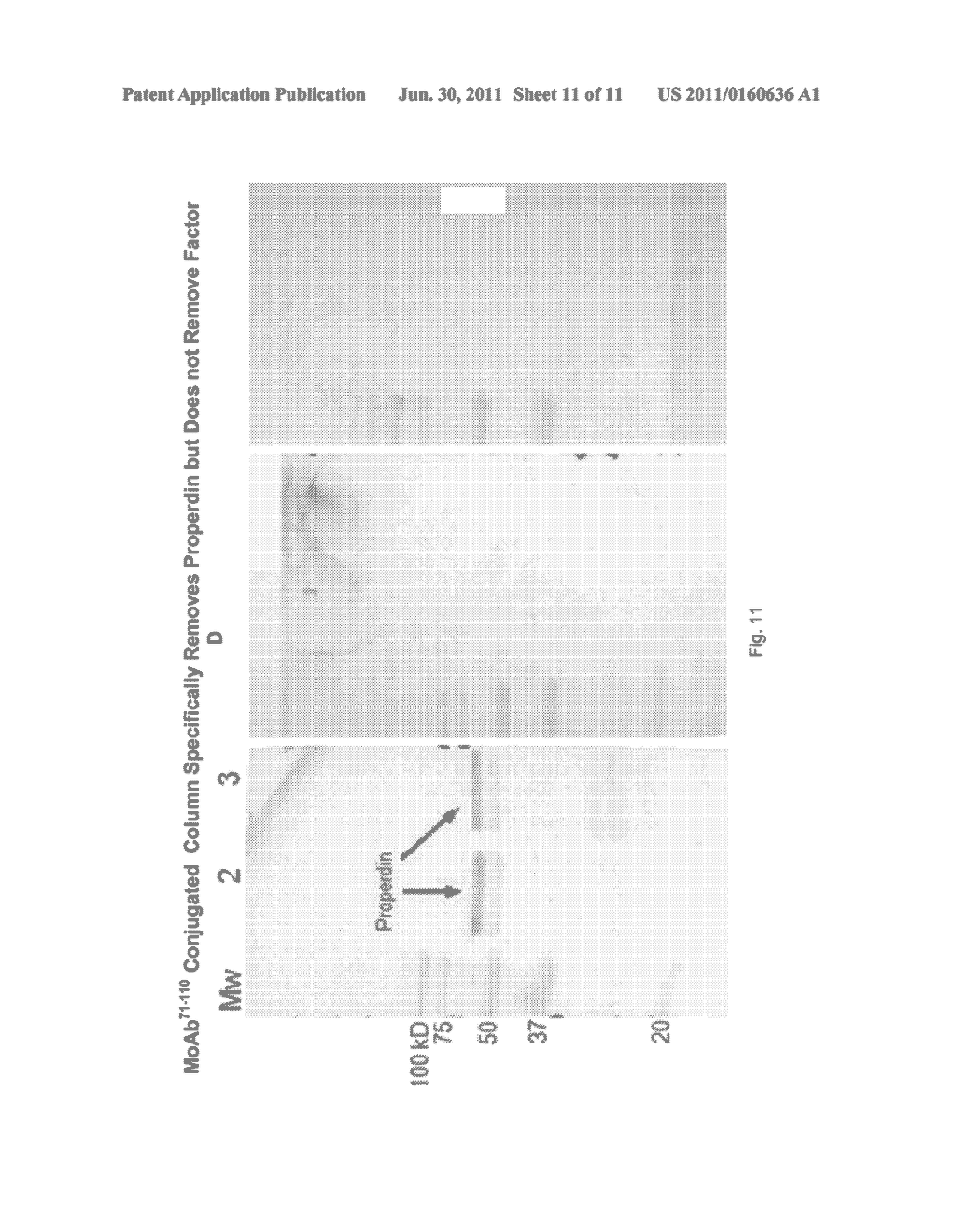 DEVICE AND METHOD FOR INHIBITING COMPLEMENT ACTIVATION - diagram, schematic, and image 12