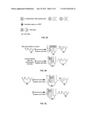 Ising Systems:  Helical Band Geometry For DTC and Integration of DTC Into     A Universal Quantum Computational Protocol diagram and image