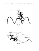 MODIFIED HUMAN FACTOR VII/VIIA AND PHARMACEUTICAL COMPOSITION CONTAINING     THE SAME diagram and image