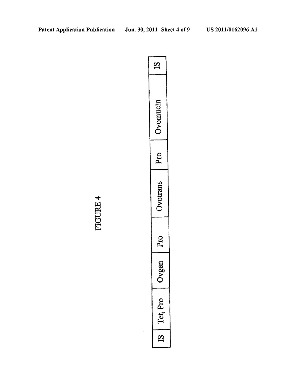 Gene Therapy Using Transposon-Based Vectors - diagram, schematic, and image 05