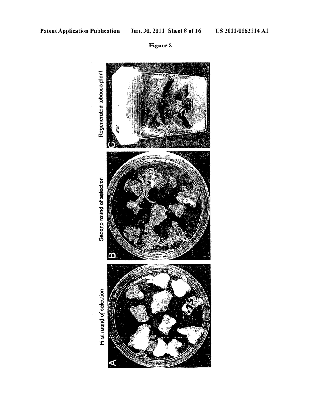 SELECTION METHOD II - diagram, schematic, and image 09