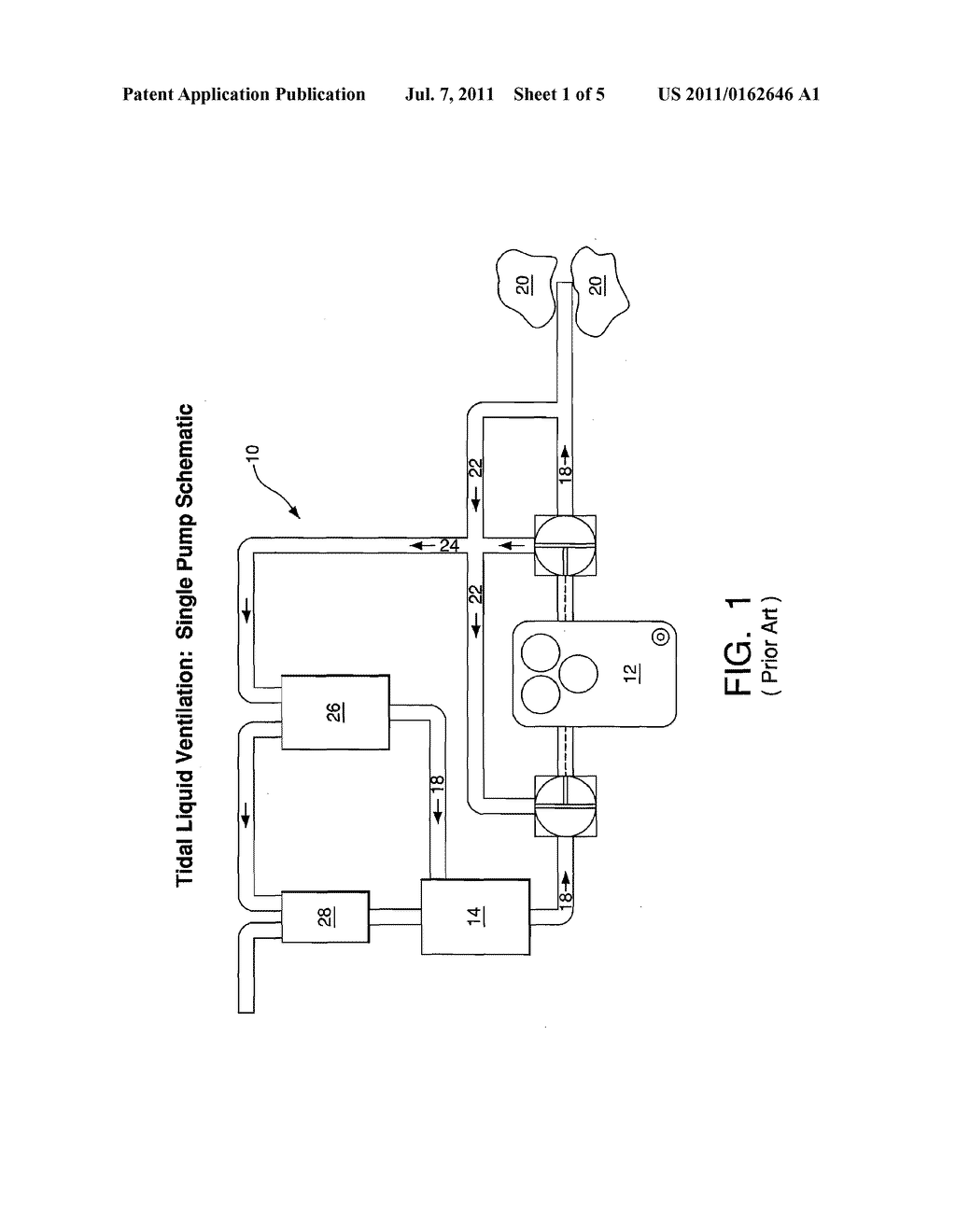 PROCESS FOR TRANSIENT AND STEADY STATE DELIVERY OF BIOLOGICAL AGENTS TO     THE LUNG VIA BREATHABLE LIQUIDS - diagram, schematic, and image 02