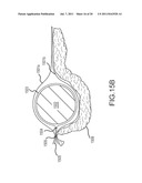 STROLLER LINER WITH TOY ATTACHMENT SYSTEM diagram and image