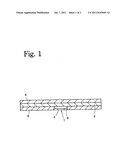 Lighting Apparatus diagram and image