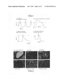 CELLULAR TISSUE MAGNETIC SIGNAL DETECTING APPARATUS diagram and image