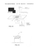 CELLULAR TISSUE MAGNETIC SIGNAL DETECTING APPARATUS diagram and image