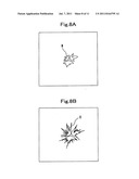 METHOD OF DETECTING SPECIFIC POLYMER CRYSTAL diagram and image