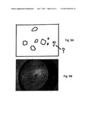 METHOD OF DETECTING SPECIFIC POLYMER CRYSTAL diagram and image