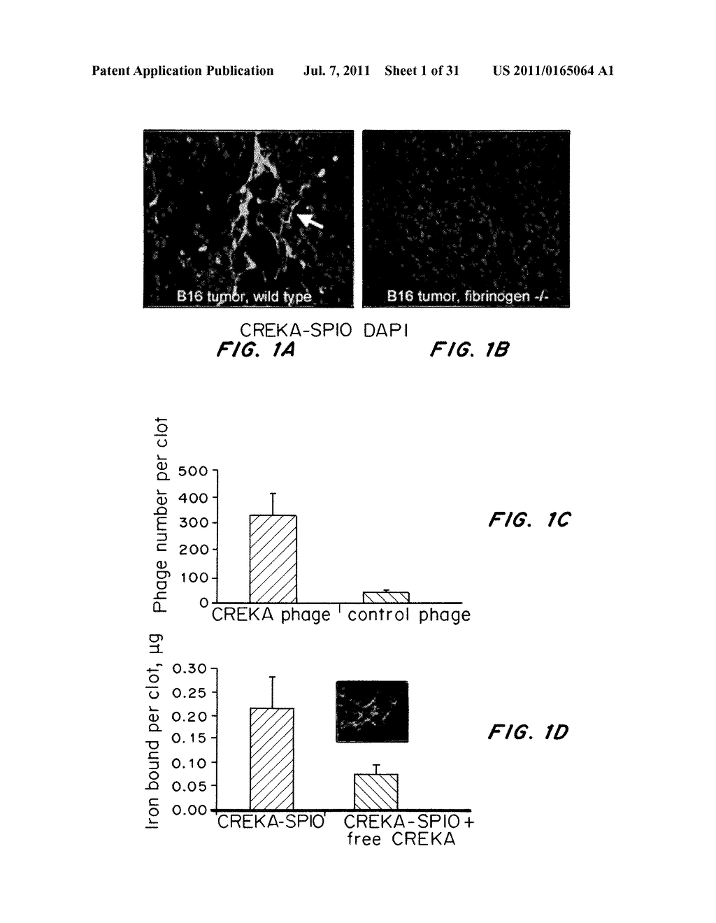 METHODS AND COMPOSITIONS RELATED TO CLOT-BINDING COMPOUNDS - diagram, schematic, and image 02