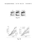 Methods Of Treating Cancer diagram and image