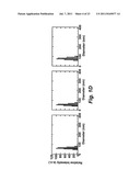 IN VIVO TUMOR TARGETING AND SPECTROSCOPIC DETECTION WITH SURFACE ENHANCED     RAMAN NANOPARTICLE TAGS diagram and image