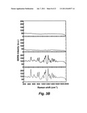 IN VIVO TUMOR TARGETING AND SPECTROSCOPIC DETECTION WITH SURFACE ENHANCED     RAMAN NANOPARTICLE TAGS diagram and image