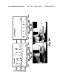 IN VIVO TUMOR TARGETING AND SPECTROSCOPIC DETECTION WITH SURFACE ENHANCED     RAMAN NANOPARTICLE TAGS diagram and image