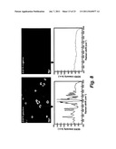 IN VIVO TUMOR TARGETING AND SPECTROSCOPIC DETECTION WITH SURFACE ENHANCED     RAMAN NANOPARTICLE TAGS diagram and image