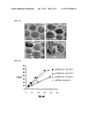 IRON OXIDE NANOPARTICLES AS MRI CONTRAST AGENTS AND THEIR PREPARING METHOD diagram and image