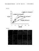 IRON OXIDE NANOPARTICLES AS MRI CONTRAST AGENTS AND THEIR PREPARING METHOD diagram and image