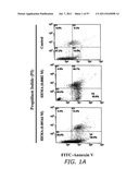 METHODS TO PREVENT CYTOTOXICITY USING N-ACETYL-CYSTEINE diagram and image