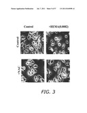 METHODS TO PREVENT CYTOTOXICITY USING N-ACETYL-CYSTEINE diagram and image