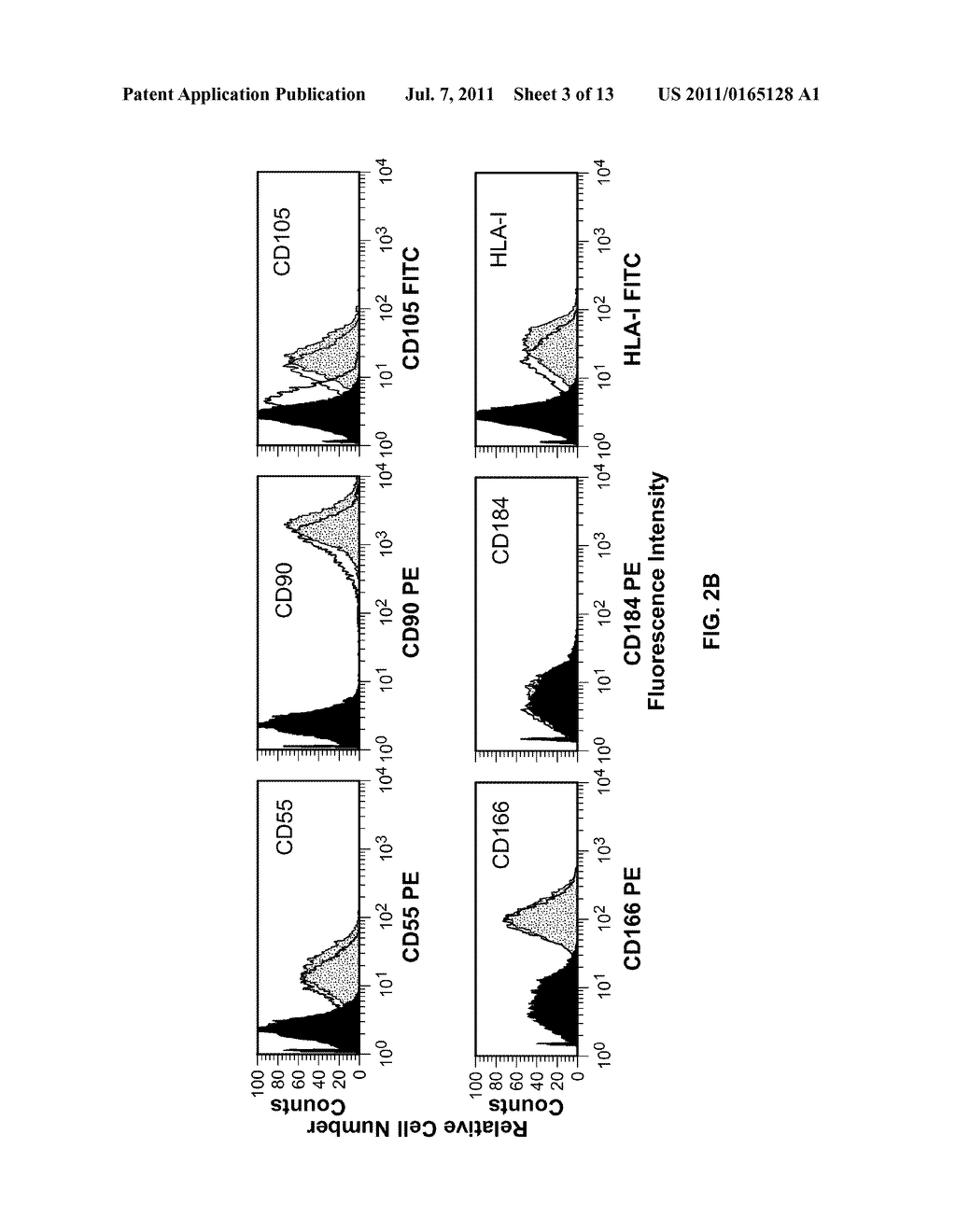 HOMING IN MESENCHYMAL STEM CELLS - diagram, schematic, and image 04