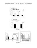 MODULATION OF CASPASES AND THERAPEUTICAL APPLICATIONS diagram and image