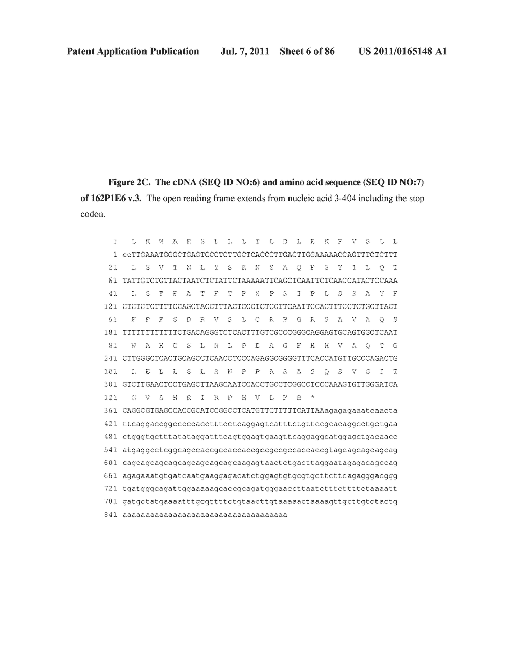 NUCLEIC ACID AND CORRESPONDING PROTEIN ENTITLED 162P1E6 USEFUL IN     TREATMENT AND DETECTION OF CANCER - diagram, schematic, and image 07