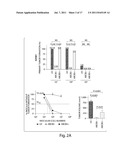 TARGETING ABCB5 FOR CANCER THERAPY diagram and image