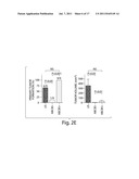 TARGETING ABCB5 FOR CANCER THERAPY diagram and image