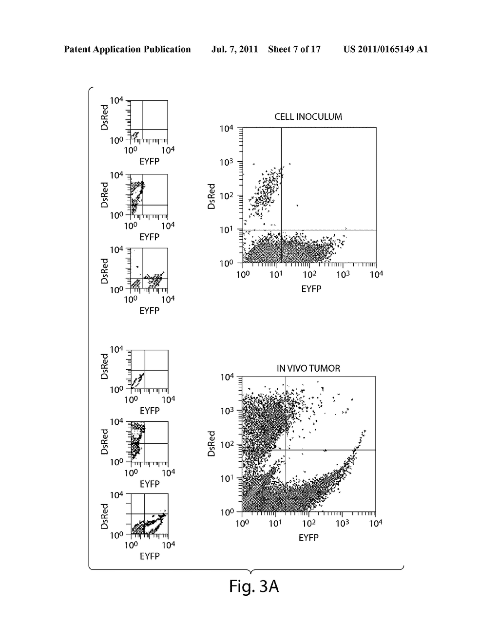 TARGETING ABCB5 FOR CANCER THERAPY - diagram, schematic, and image 08