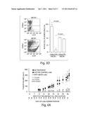 TARGETING ABCB5 FOR CANCER THERAPY diagram and image
