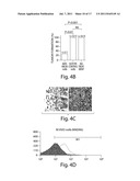 TARGETING ABCB5 FOR CANCER THERAPY diagram and image