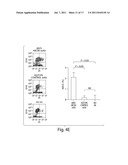 TARGETING ABCB5 FOR CANCER THERAPY diagram and image