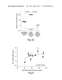 TARGETING ABCB5 FOR CANCER THERAPY diagram and image