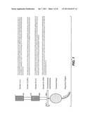 EXTENDING TIME TO DISEASE PROGRESSION OR SURVIVAL IN CANCER PATIENTS diagram and image