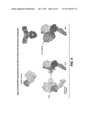 EXTENDING TIME TO DISEASE PROGRESSION OR SURVIVAL IN CANCER PATIENTS diagram and image