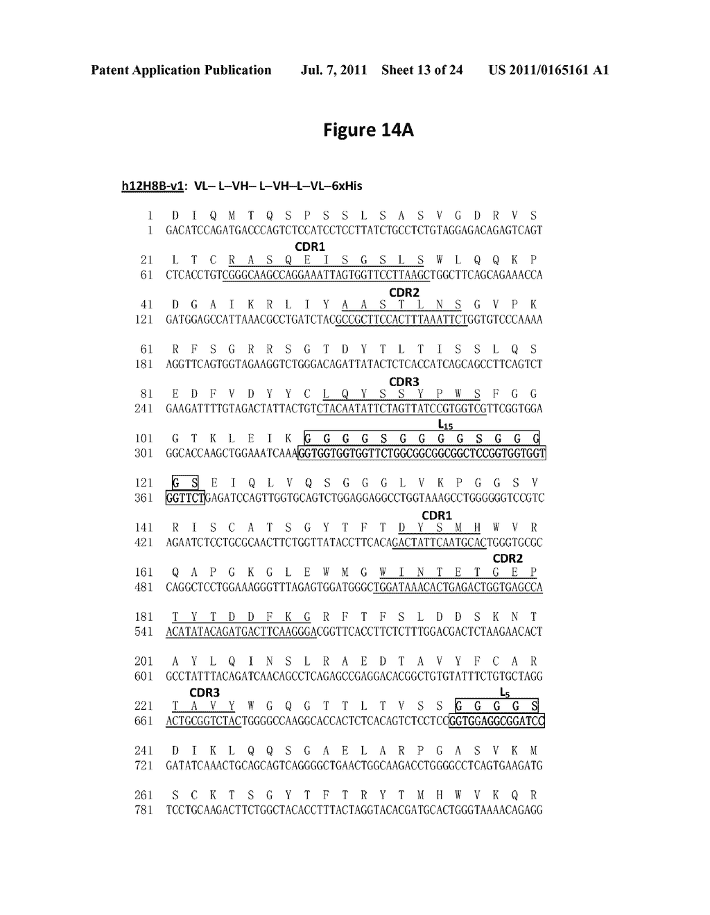 ANTI-EPCAM ANTIBODIES THAT INDUCE APOPTOSIS OF CANCER CELLS AND METHODS     USING SAME - diagram, schematic, and image 14