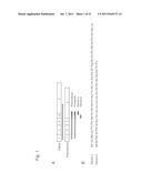 THERAPEUTIC AGENT AND DETECTION REAGENT FOR ARTERIOSCLEROTIC DISEASE WHICH     TARGETS FOR SALUSIN diagram and image