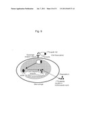 THERAPEUTIC AGENT AND DETECTION REAGENT FOR ARTERIOSCLEROTIC DISEASE WHICH     TARGETS FOR SALUSIN diagram and image